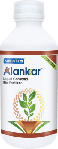 Alankar - Liquid Bio Fertilizer