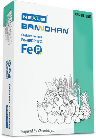 Banndhan Fe HEDP