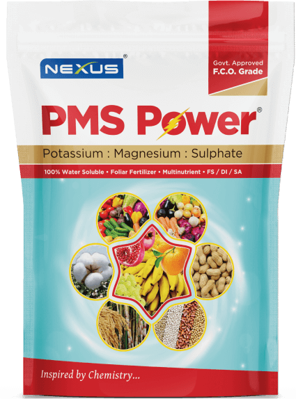PMS Power