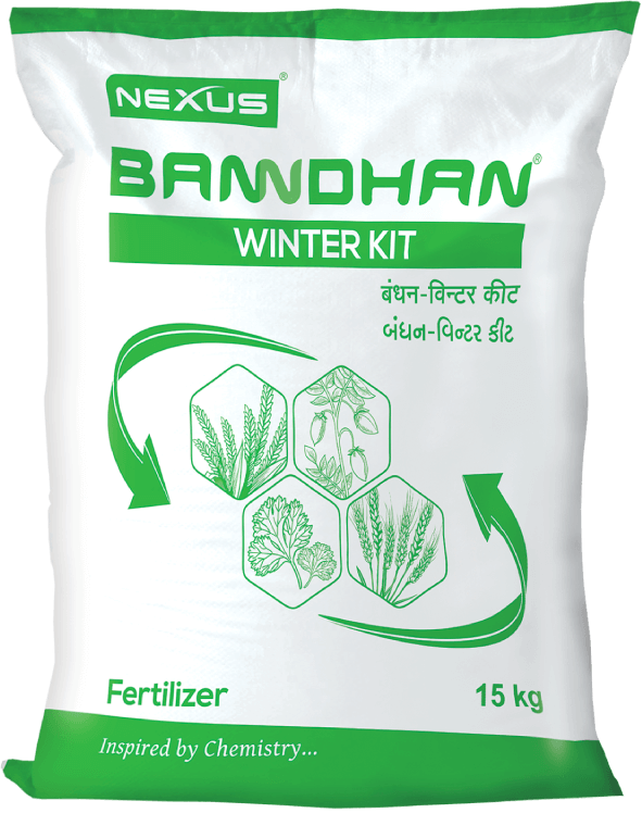Banndhan Winter Kit