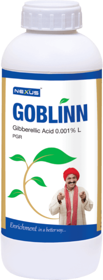 Goblinn