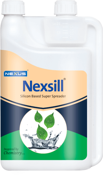 Nexsill